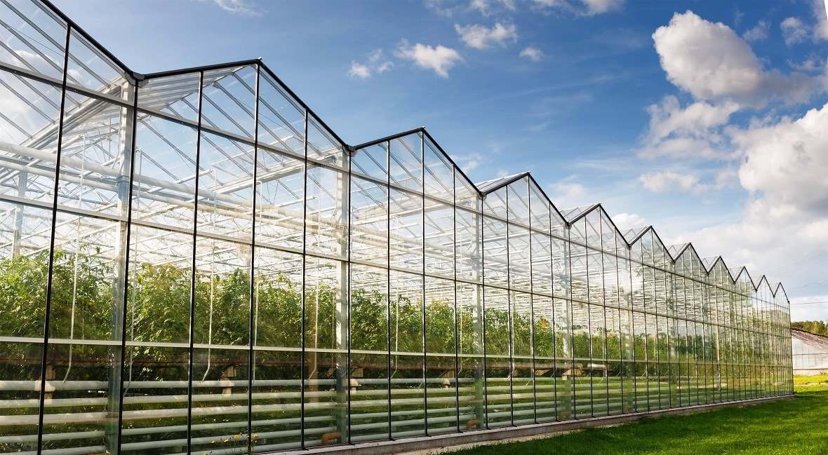 Main Company Article: Modern Greenhouse Complexes - Today's Residential Trend